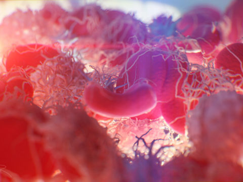 "Blood clotting" by Alexey Kashpersky, Radius Digital Science is licensed under CC BY-NC 4.0