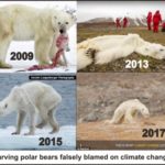 starving-polar-bear-composite_11-sept-2019